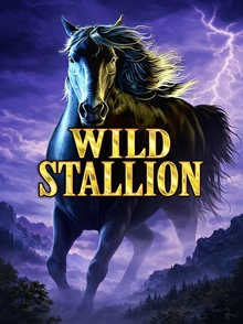 Wild Stallion